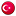 Türkçe